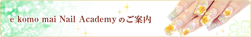e komo mai Nail Academy のご案内