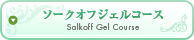 ソークオフジェルコース