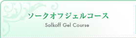 ソークオフジェルコース