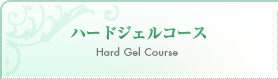 ハードジェルコース