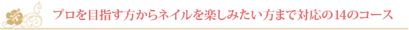 プロを目指す方からネイルを楽しみたい方まで対応の14のコース