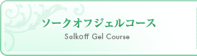 ソークオフジェルコース