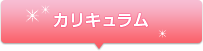 カリキュラム